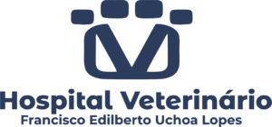 Logo Hvu Azul Fundo Transparente