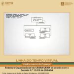 Estrutura Organizacional Da Uema Em 1994 Balsas