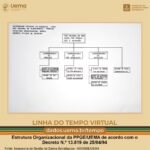 Estrutura Organizacional Da Uema Em 1994 Ppge