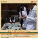 Kinosternon Scorpioides